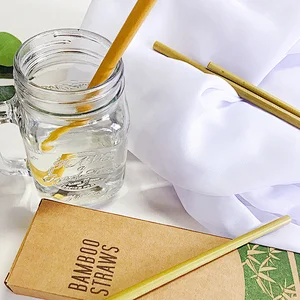 Biodegradable Recyclable Natural Reusable Bamboo Drink Straw