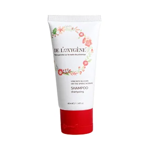 Disposable Guest Amenities Hotel Supplies Toiletries