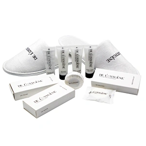 Eco Friendly Amenity Suppliers Luxury Disposable Hotel Amenities Toiletries Set