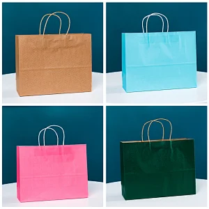 Recyclable Paper Shopping Bag Gift Bags with Handles