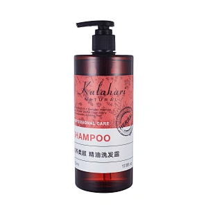500ml 300ml Shampoo Lotion Bottle Refillable PET Pump Bottles