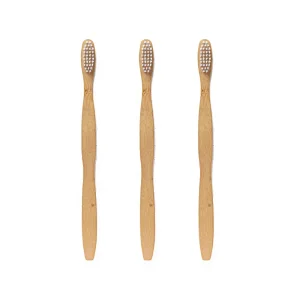 Biodegradable Soft Bristle Bamboo Toothbrush Set Wholesale