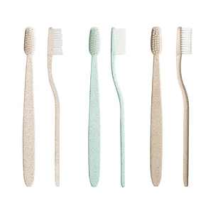 Straw Toothbrush Custom Disposable Hotel Toothbrush