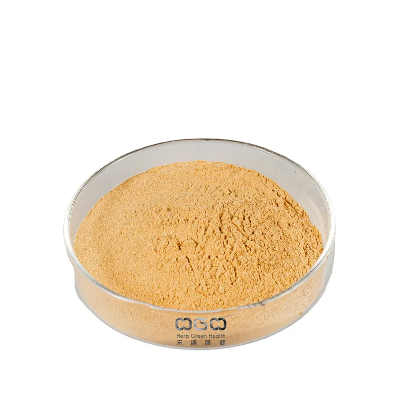 Organic Lion's Mane Mushroom Extract Organic Lion Mane Mushroom ExtractOrganic Lions Mane Mushroom Extract