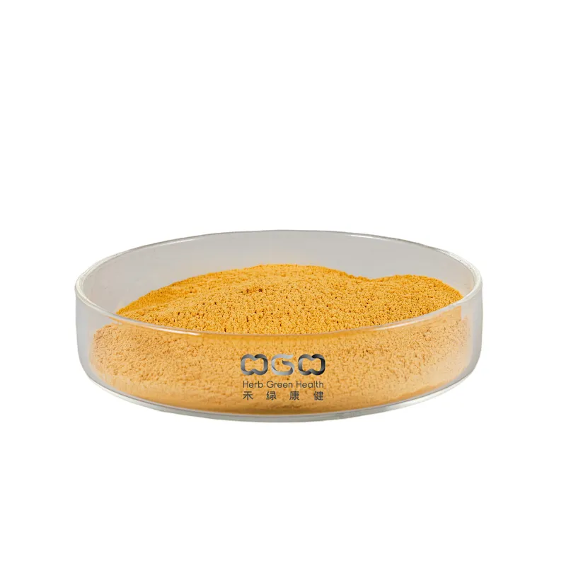 Chrysanthemum Extract