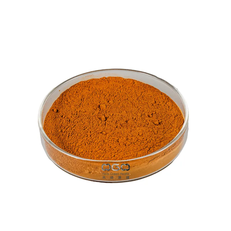 Organic Ginkgo Biloba Extract