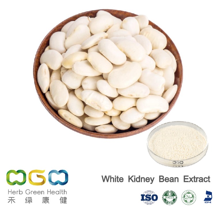 New Trends in Weight Management Markets