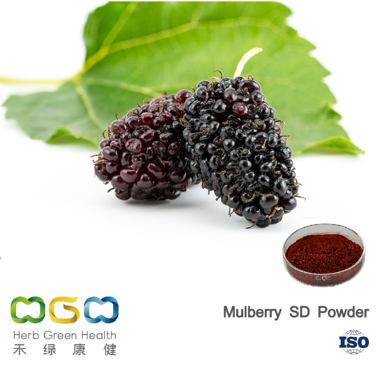 Korean RCT of mulberry extract
