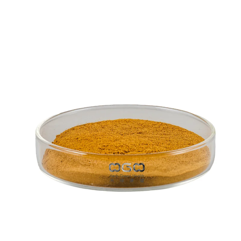 Chaga Mushroom Extract