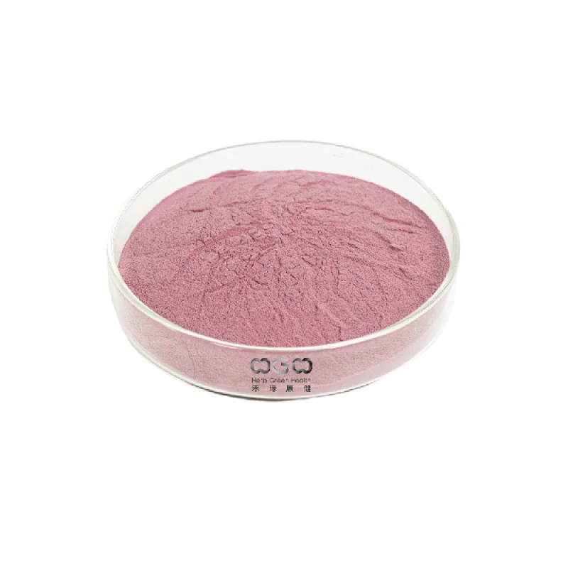 Elderberry SD Powder