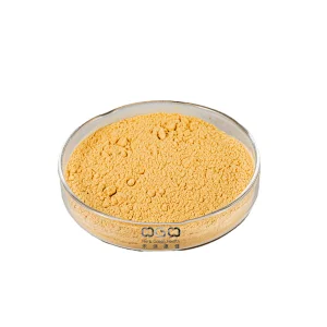 Korean Red Ginseng Extract