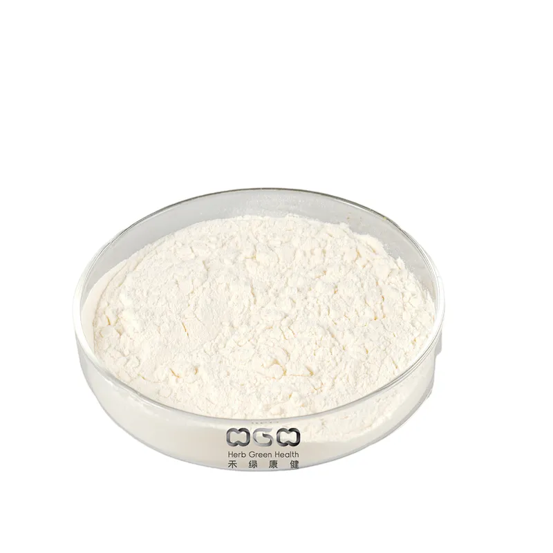 Wheat Germ Powder Manufacturer - Herb Green Health