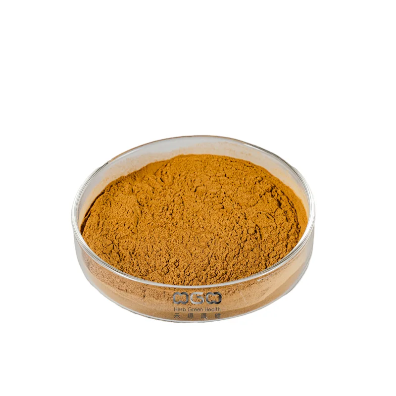Olive Leaf Extract