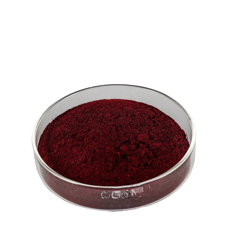 Organic Elderberry Extract