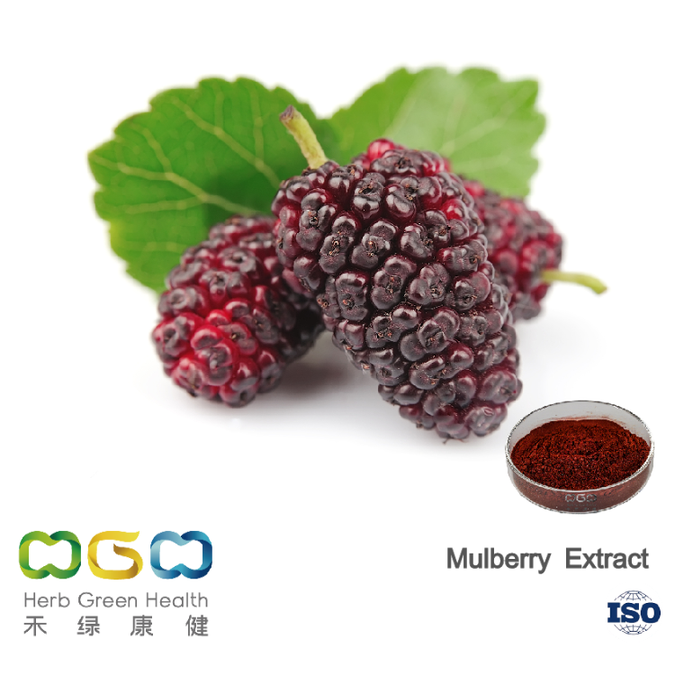 Korean RCT of mulberry extract