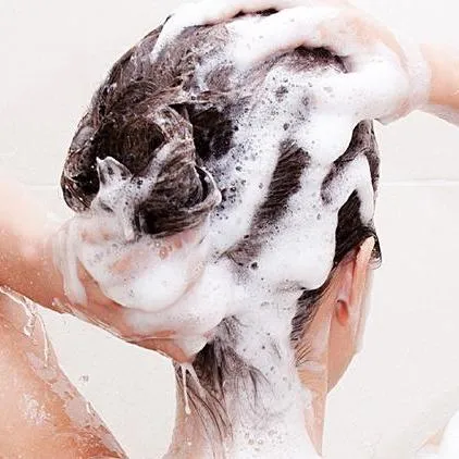 Panax Ginseng Extract Shampoo