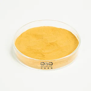 Panax Ginseng Extract Rare Ginsenoside