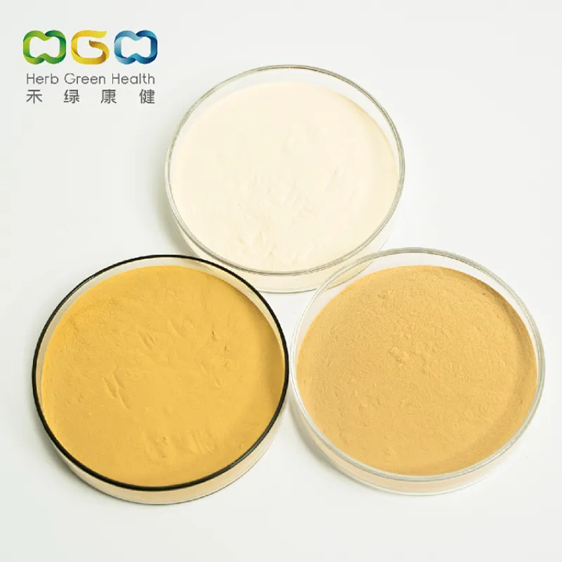 Panax Ginseng Extract