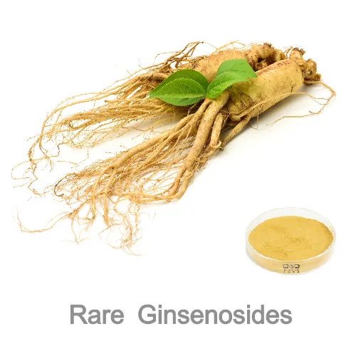 Panax Ginseng Extract Rare Ginsenosides