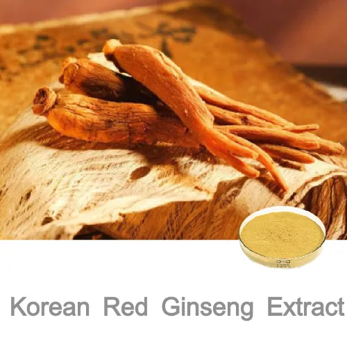 Panax Ginseng Extract Korean Red Ginseng Extract