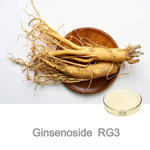 Panax Ginseng Extract Ginsenoside RG3