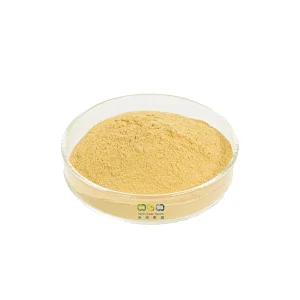 CLEAN GINSENG Ginseng extract
