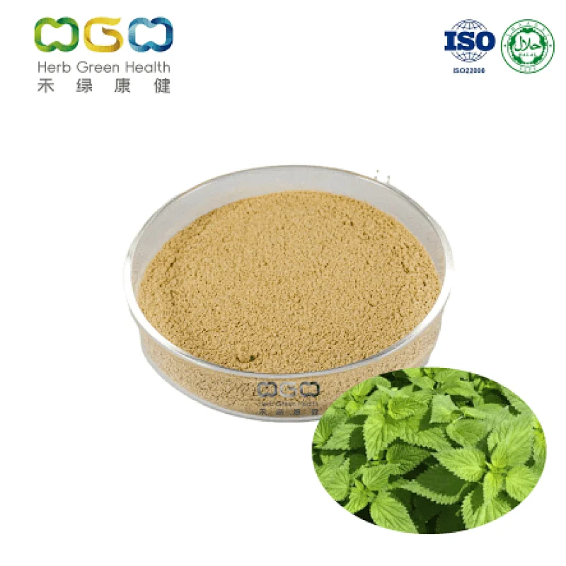Nettle Leaf Powder