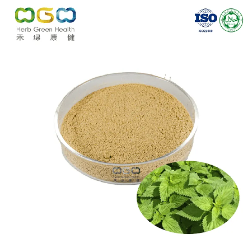 Nettle Leaf Powder