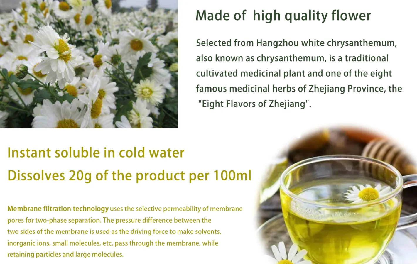 Instant Chrysanthemum Powder