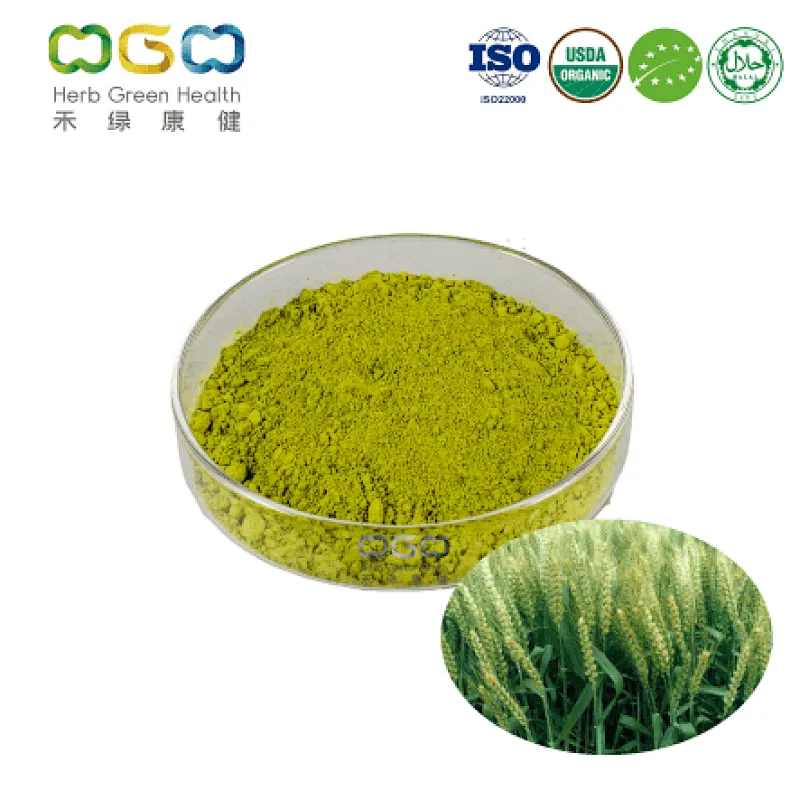 Organic Wheatgrass Powder