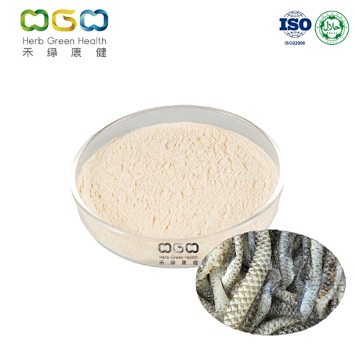 Collagen Tripeptide