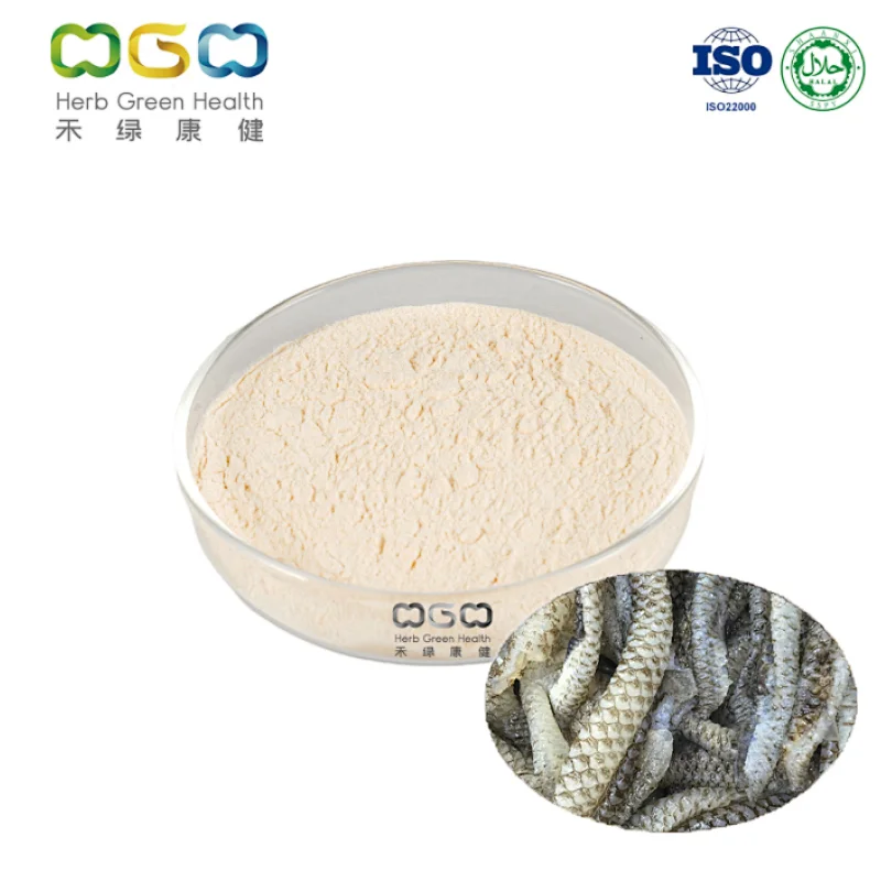 Collagen Tripeptide