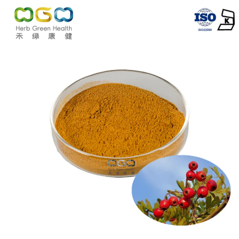 European Hawthorn Leaf Extract