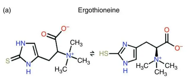 ergothioneine