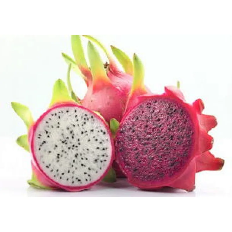 Pitaya SD Powder
