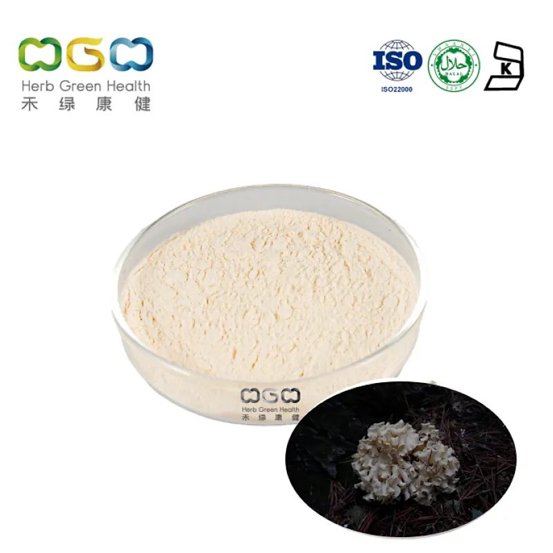 Sparassis Latifolia Extract