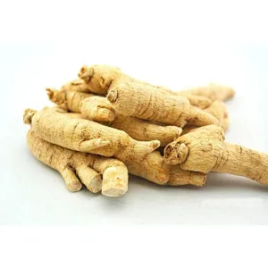 American Ginseng Extract