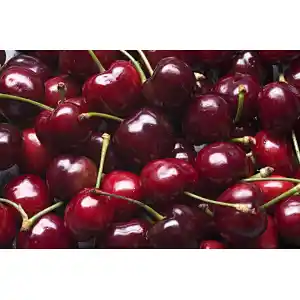 Dark Sweet Cherry