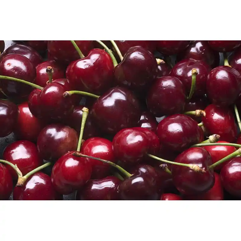 Dark Sweet Cherry