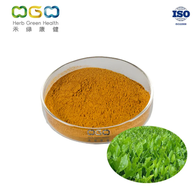 Alisma Extract