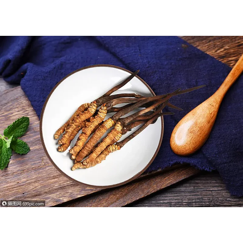 Cordyceps Cephalosporium mycelia