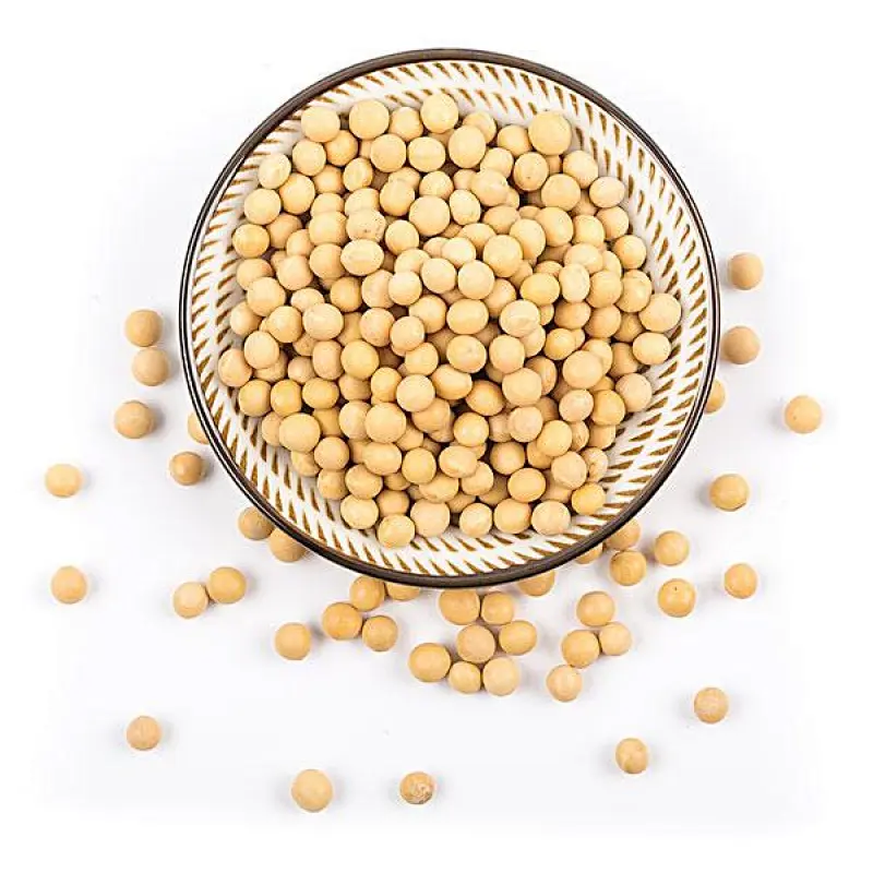 Soy Protein Isolate
