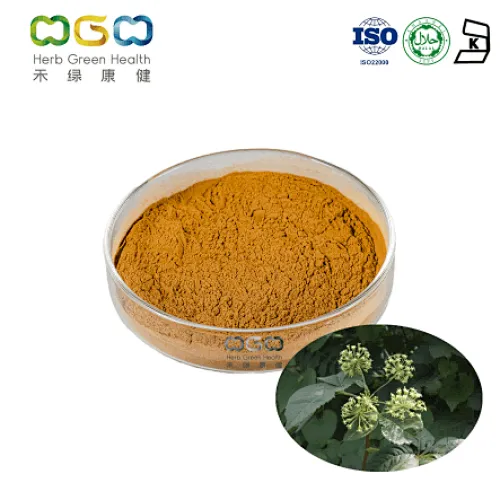 Siberian Ginseng Extract