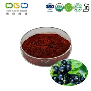 Organic Black Currant Extract