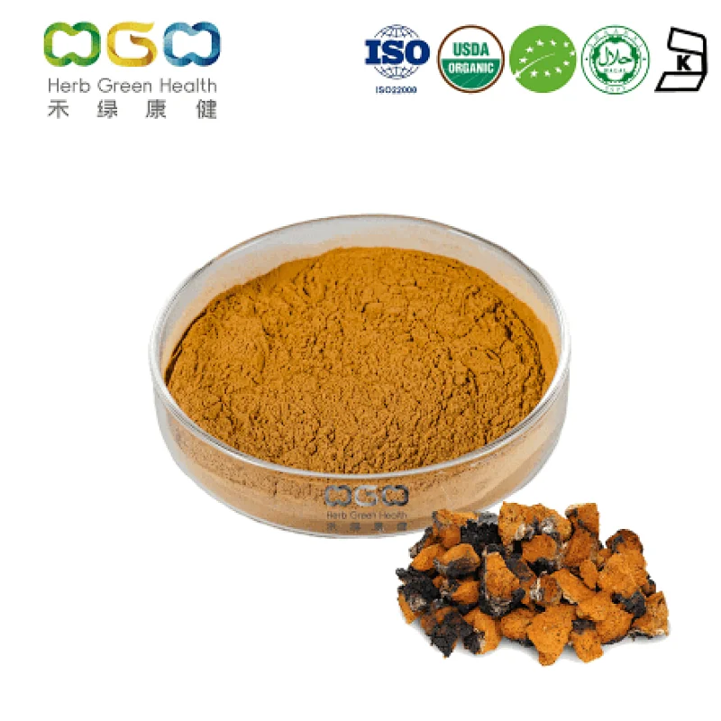 Organic Chaga Mushroom Extract