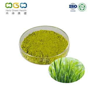 Wheatgrass Powder