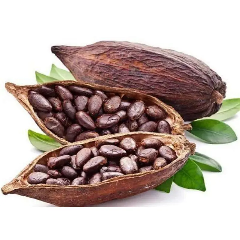Cocoa Powder