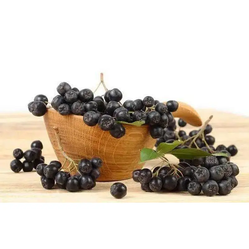 Aronia