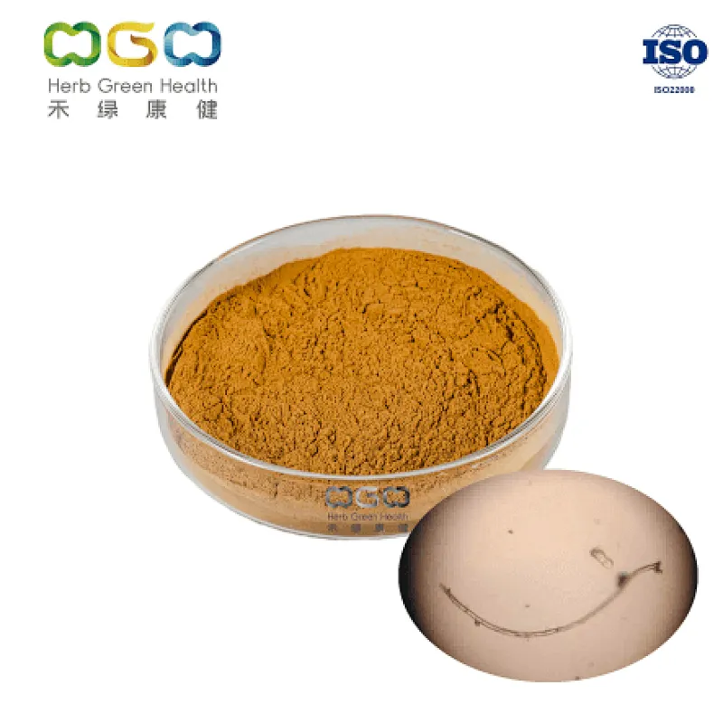 Hirsutella Hepilalid Powder