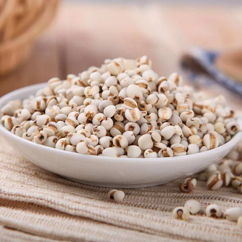 Coix Seed Extract